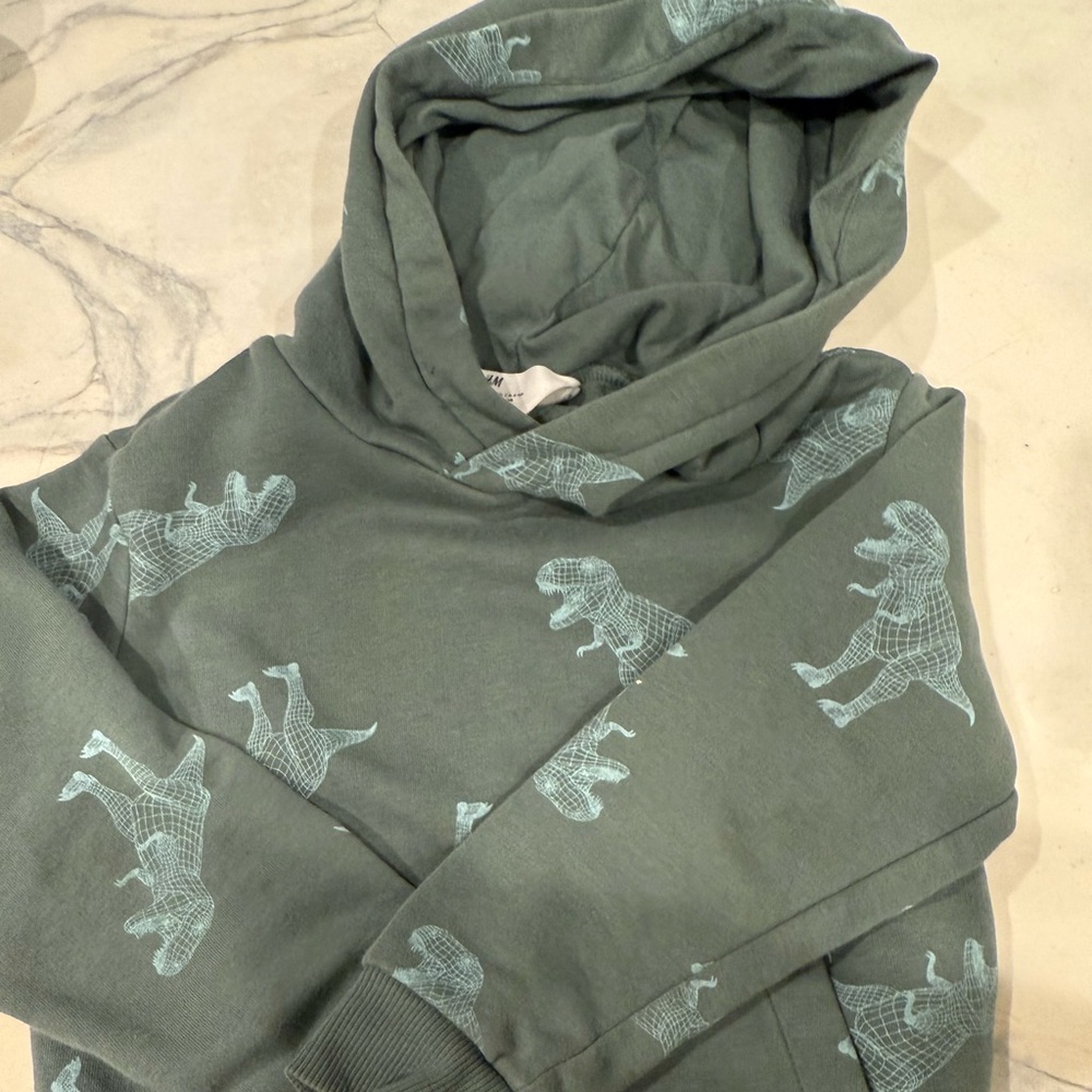 H&M Dino hoodie